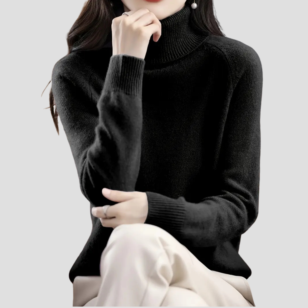 Vellison | Turtleneck Sweater