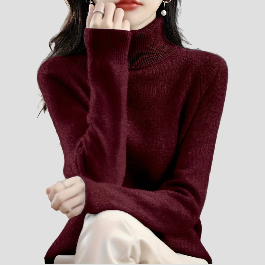 Vellison | Turtleneck Sweater